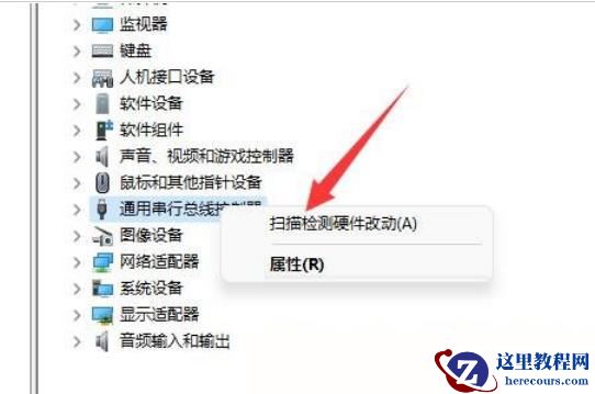 Win11移动硬盘不显示怎么办？Win11移动硬盘不显示问题解析