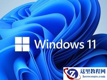 Win11纯净版怎么样？纯净之家Win11系统官方下载