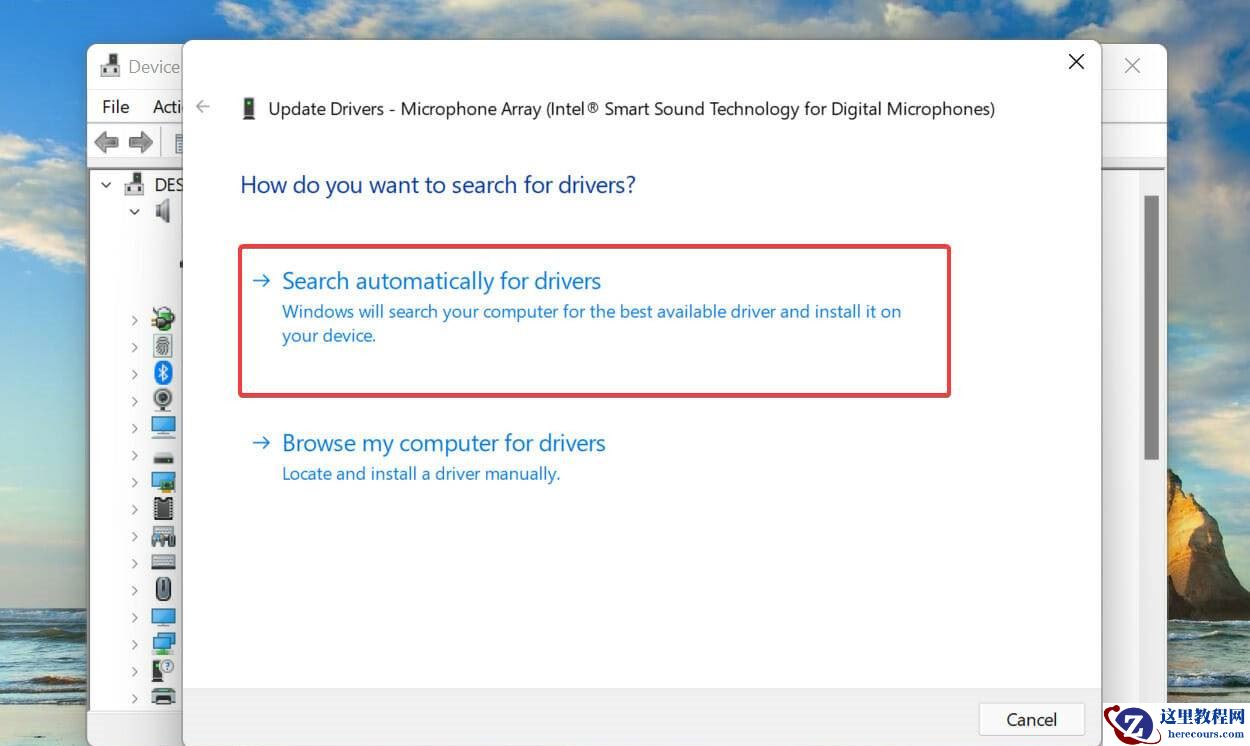 Win11语音输入没反应怎么办？尝试以下修复