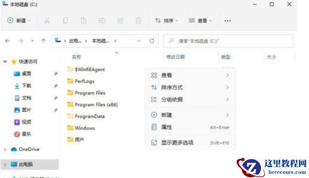 Win11隐藏文件怎么显示出来?win11隐藏文件显示设置方法