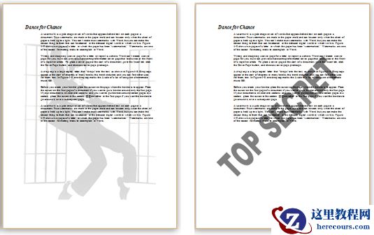 两个带水印的Word文档。