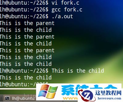 linux中关于fork函数的使用