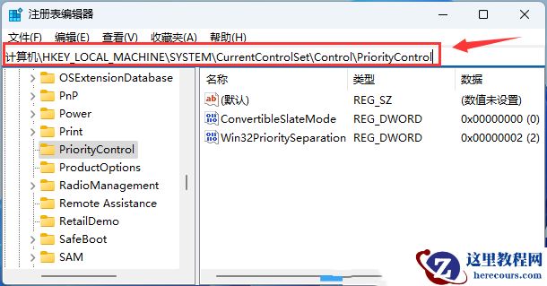 win11文件复选框没有打开但还是会显示怎么解决？