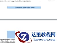 Word文档中突出显示的文本。