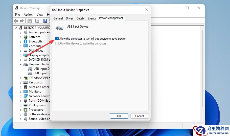 Windows11的触摸屏不工作？这该怎么办？