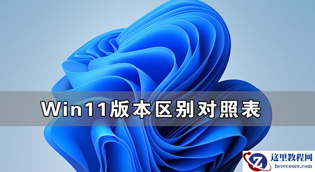 Win11各个版本有什么不同?Win11版本区别对照表