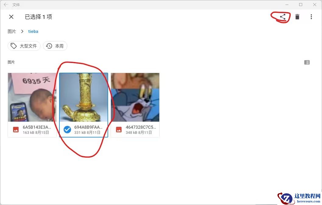 Win11安卓子系统怎么导出文件？Win11安卓子系统导出文件的方法