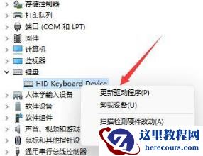 win11键盘全部失灵怎么办?win11键盘失灵详细解决方法