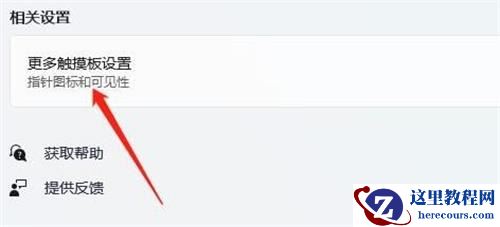 Win11为什么关闭不了触摸板?Win11无法关闭触摸板的解决方法