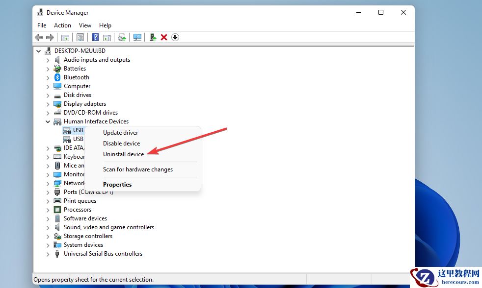 Windows11的触摸屏不工作？这该怎么办？