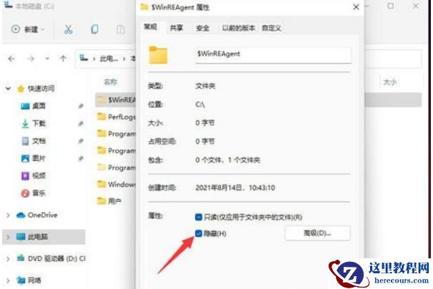 Win11隐藏文件怎么显示出来?win11隐藏文件显示设置方法