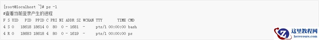 Linux新手入门：PS命令查看正在运行的进程