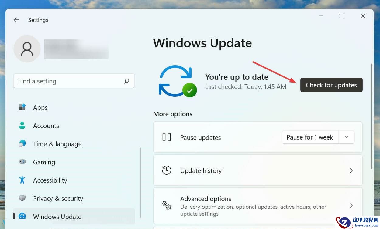 Win11语音输入没反应怎么办？尝试以下修复