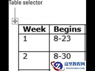 在Word 2016中为符号分配快捷键