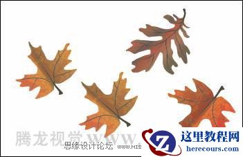 使用CorelDRAW中的艺术笔工具