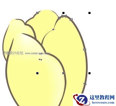 CorelDRAW绘制漂亮的花朵工笔画效果
