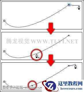 CorelDRAW中钢笔工具的用法