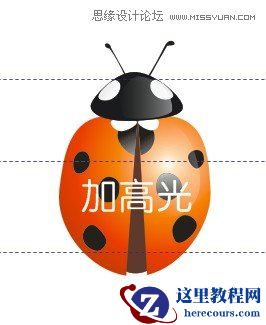 CorelDraw绘制逼真漂亮的七星瓢虫