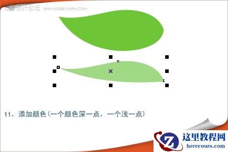 用CorelDRAW绘制漂亮的矢量树叶