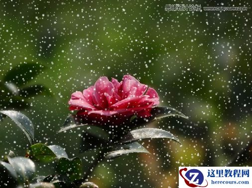 CorelDRAW快速制作雨天雪天和雾天效果