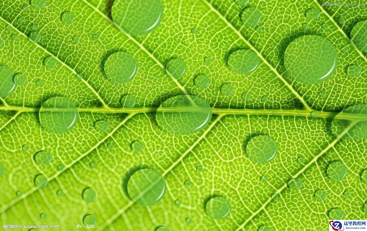 Coreldraw制作立体透明效果的水滴教程