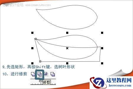 用CorelDRAW绘制漂亮的矢量树叶