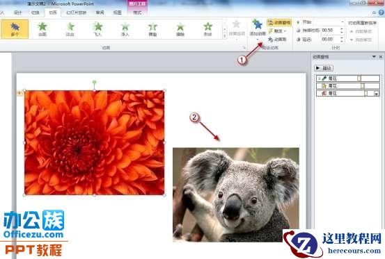 巧用PowerPoint2010动画刷快速设置动画效果
