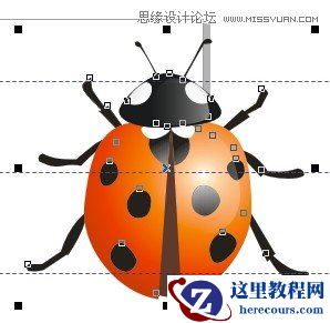 CorelDraw绘制逼真漂亮的七星瓢虫
