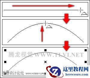CorelDRAW中多点线工具的应用
