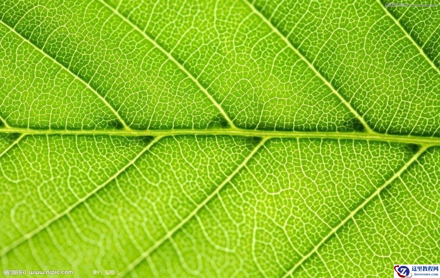 Coreldraw制作立体透明效果的水滴教程