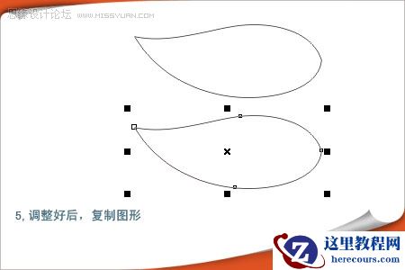 用CorelDRAW绘制漂亮的矢量树叶