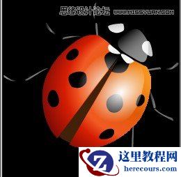 CorelDraw绘制逼真漂亮的七星瓢虫