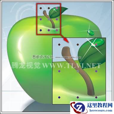 在CorelDRAW中的对象概述与选择对象