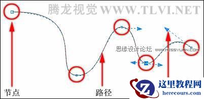 在CorelDRAW中的对象概述与选择对象