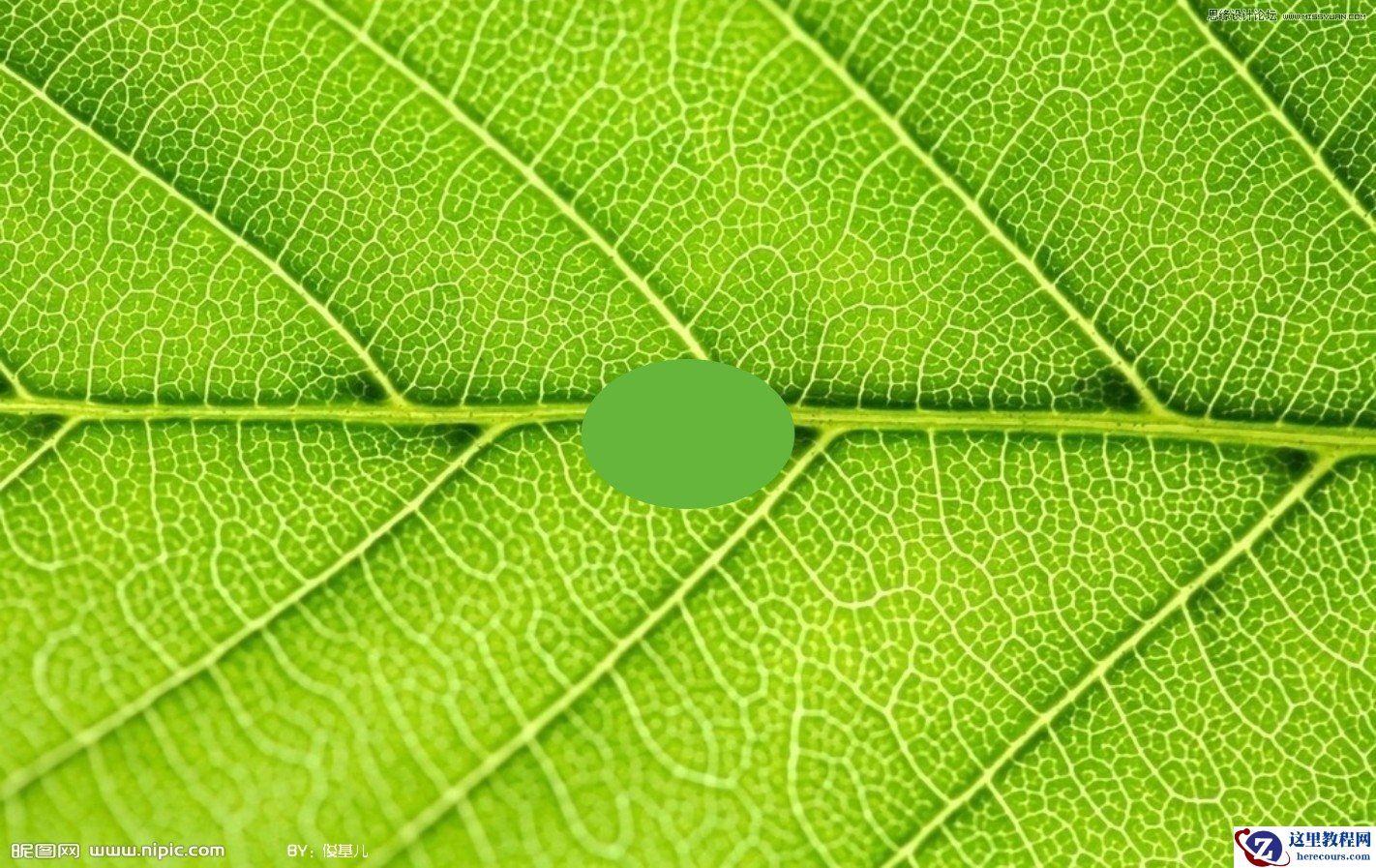 Coreldraw制作立体透明效果的水滴教程