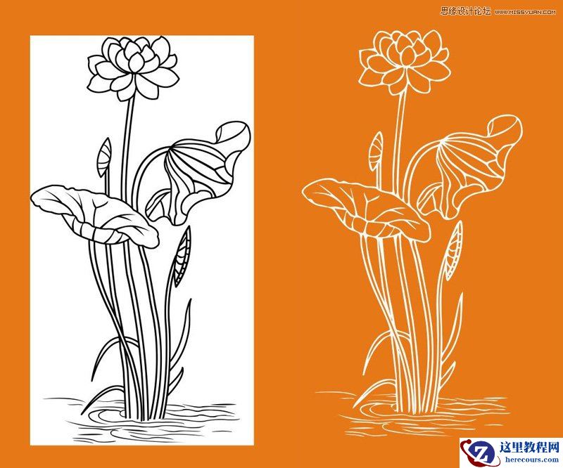 CorelDraw勾出荷花图片简洁提线条效果