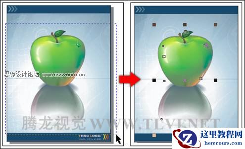 在CorelDRAW中的对象概述与选择对象