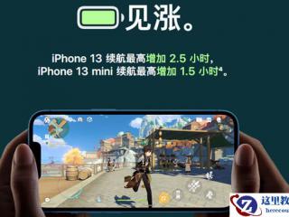 Oracle数据库采用哪种主键生成策略