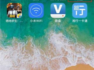 在PowerPoint 2010中如何利用动画刷快速设置动画效果