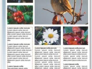 如何利用图片模糊效果制作PPT封面？