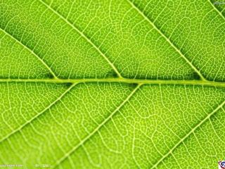 PPT中密码解锁动画效果设计