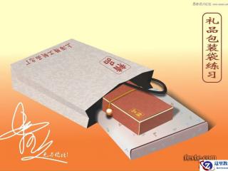 怎么在PPT中插入Flash动画？