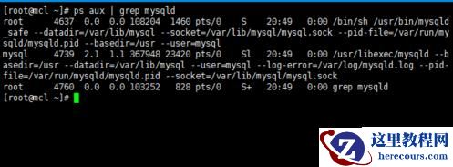 linux怎样查看mysql是否启动