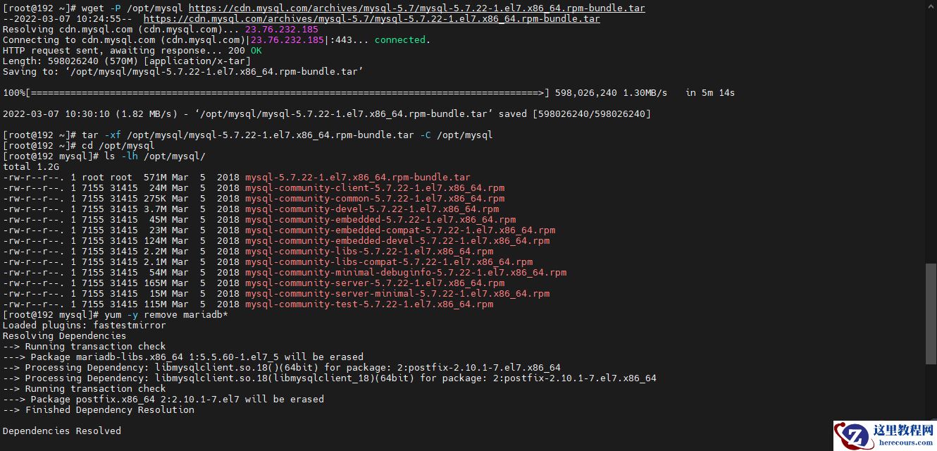 image-20220307103257232