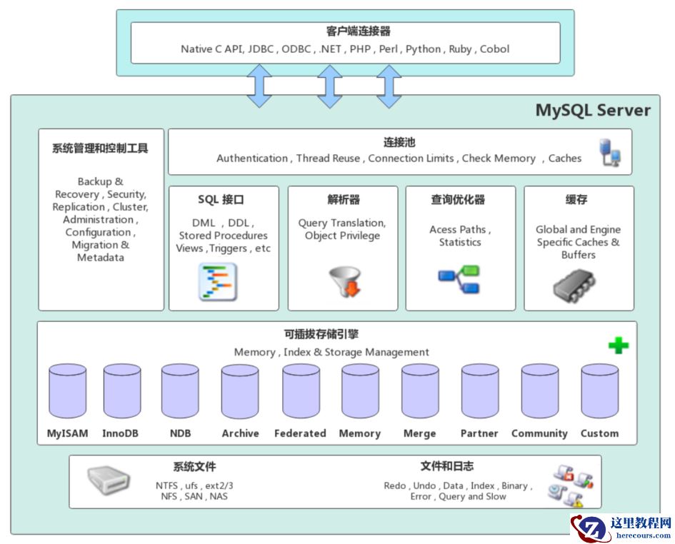 image-20220515204322843