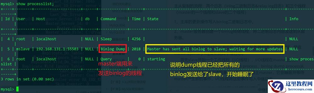 MySQL的主从复制原理是什么