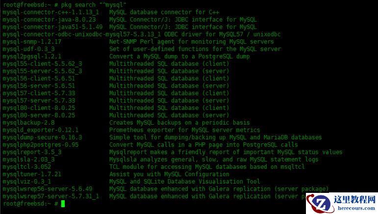 FreeBSD13中怎么安装MySQL数据库