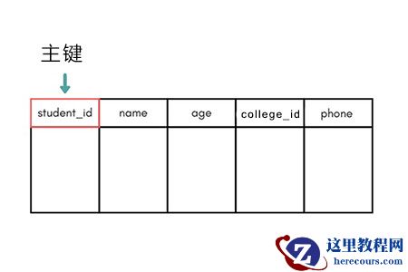 数据库中的键有哪些类型