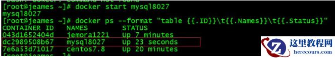 Docker容器怎么迁移Oracle到MySQL