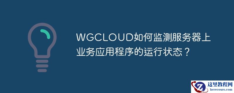 wgcloud如何监测服务器上业务应用程序的运行状态？